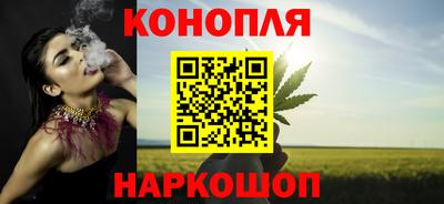 прущие грибы Каменск-Шахтинский