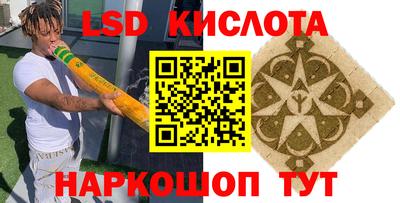 прущие грибы Каменск-Шахтинский