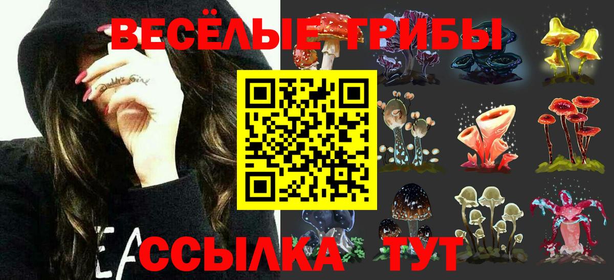 Псилоцибиновые грибы Magic Shrooms  Вход с VPN  Аша 